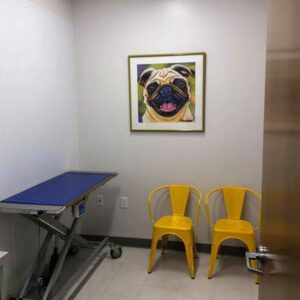 animal artwork in a veterinarian's office