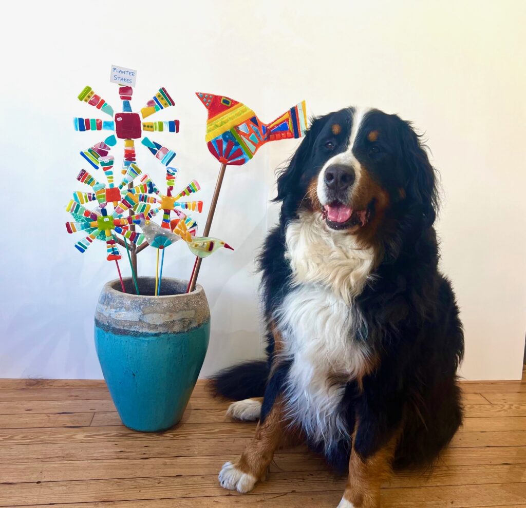 Mylo and flower pots