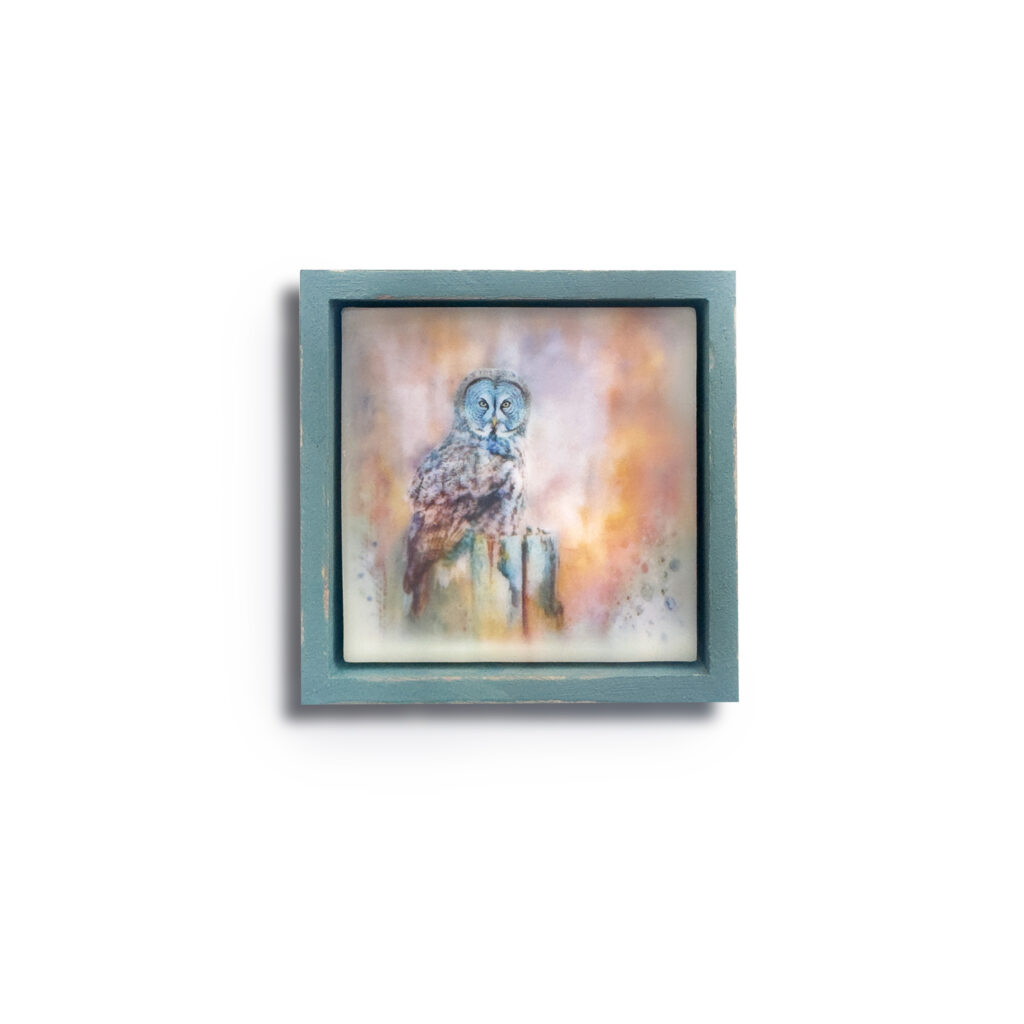 Owl mini